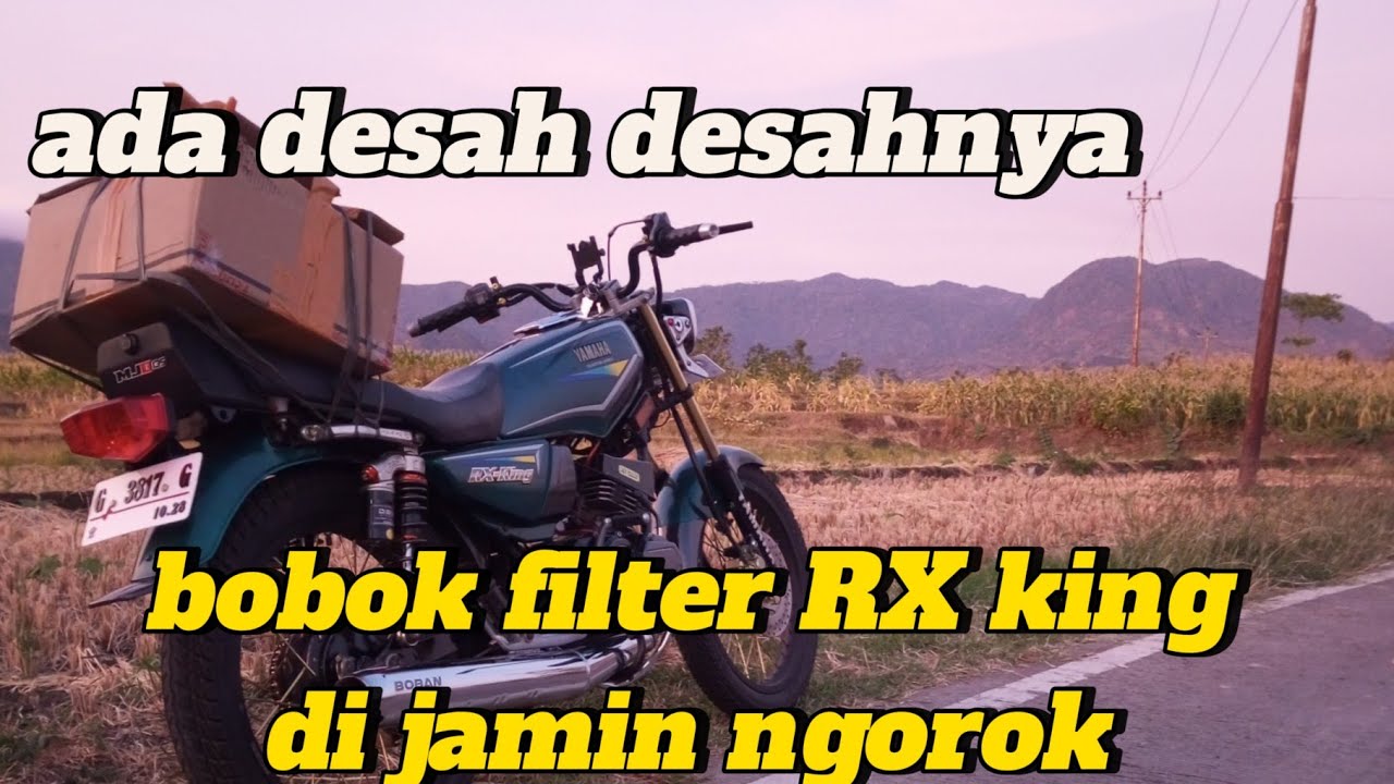BOBOK FILTER RX king biar ngorok