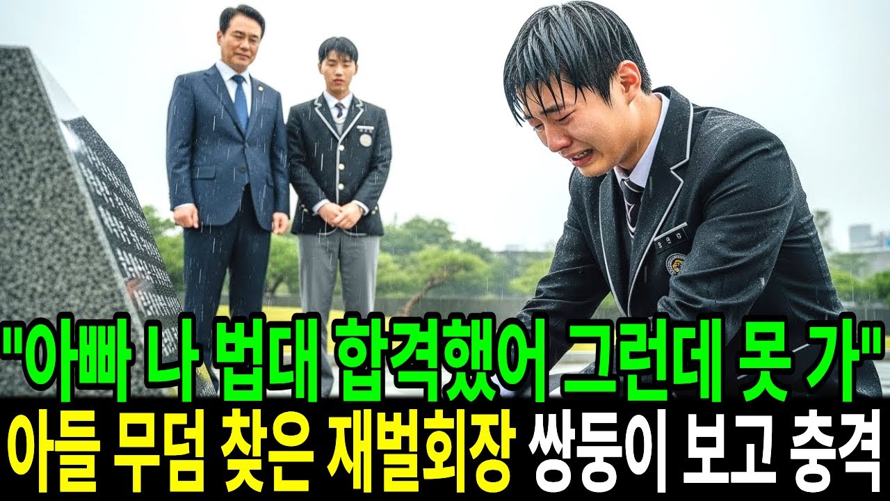 “아빠 나 법대 합격했어 그런데 못 가” 아들 무덤 찾은 재벌회장 이모가 대학가지말고 일해서 돈이나 벌라고 하네요 ｜시니어 감동 사연｜실화 오디오북｜