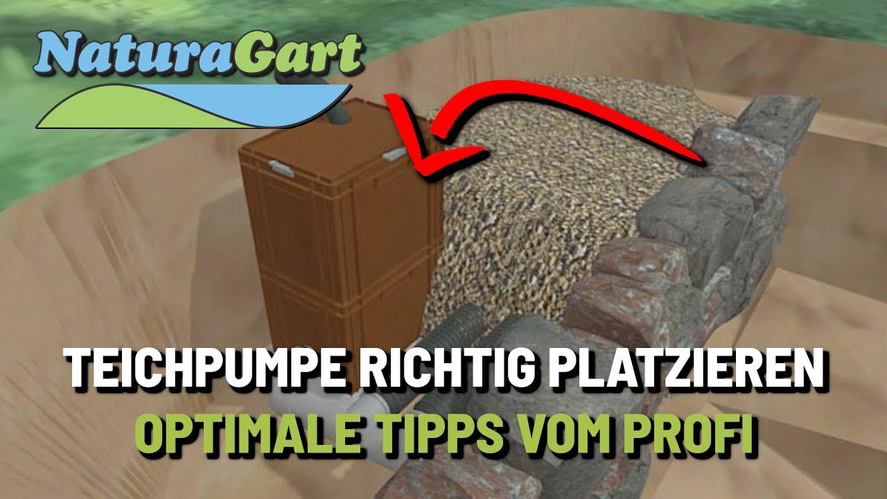 Teiche richtig bauen - Der beste Platz für die Teichpumpe