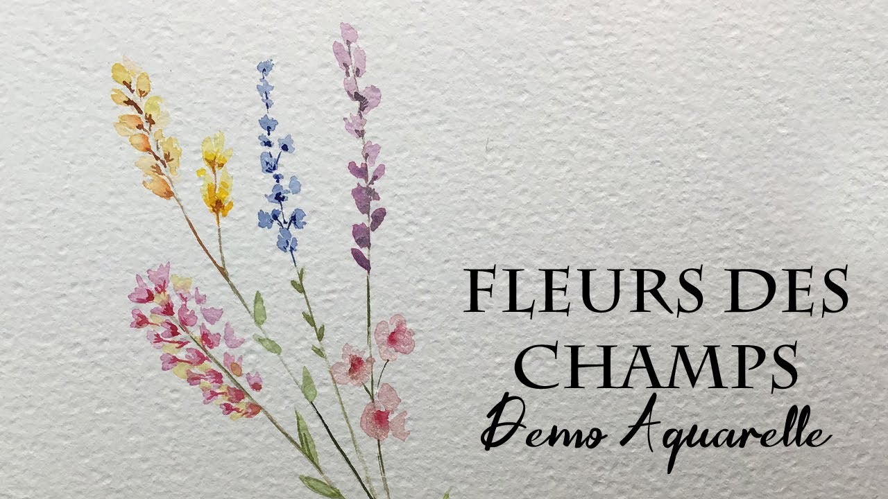 Démo Aquarelle fleurs des champs