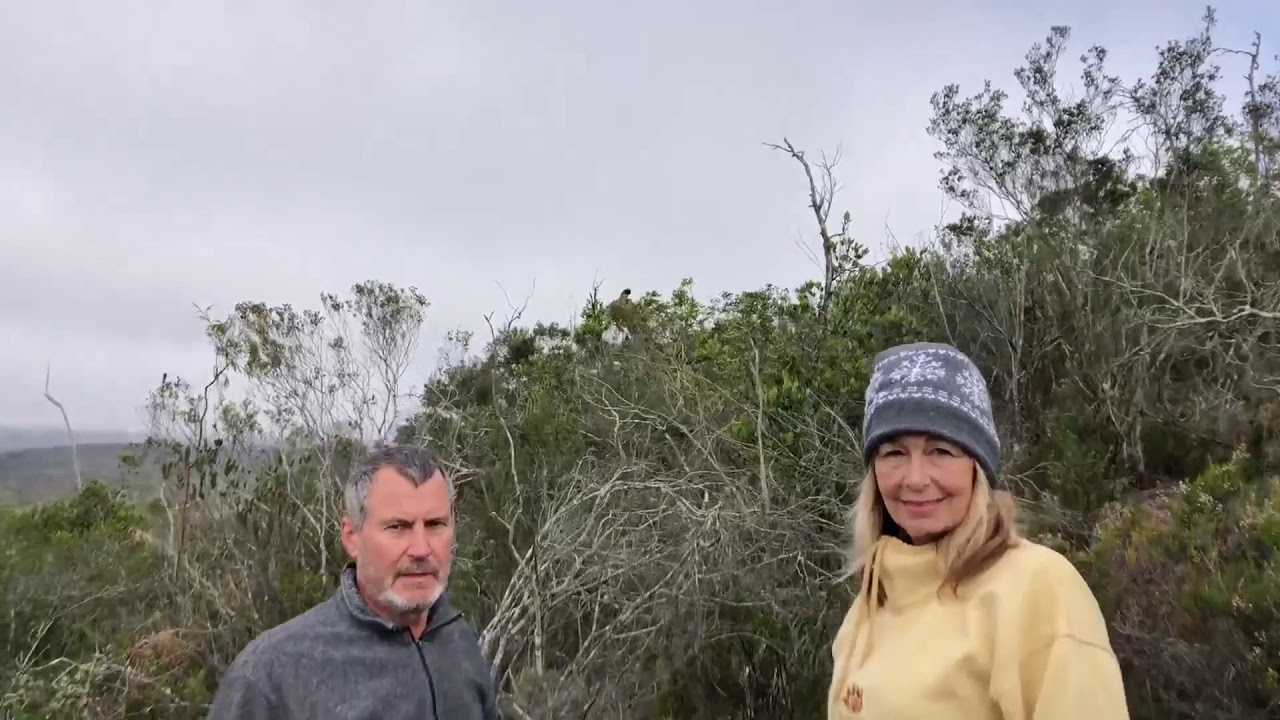Bellevue Forest Reserve in Addo