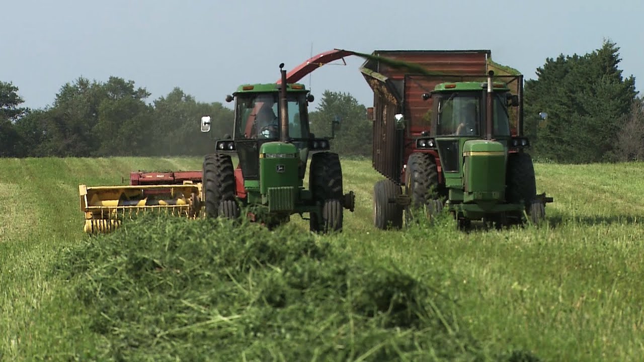 Minnesota Silage | From the Market to Market Tape Library
