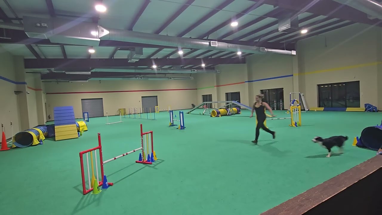Nessie training runs 11-20-25
