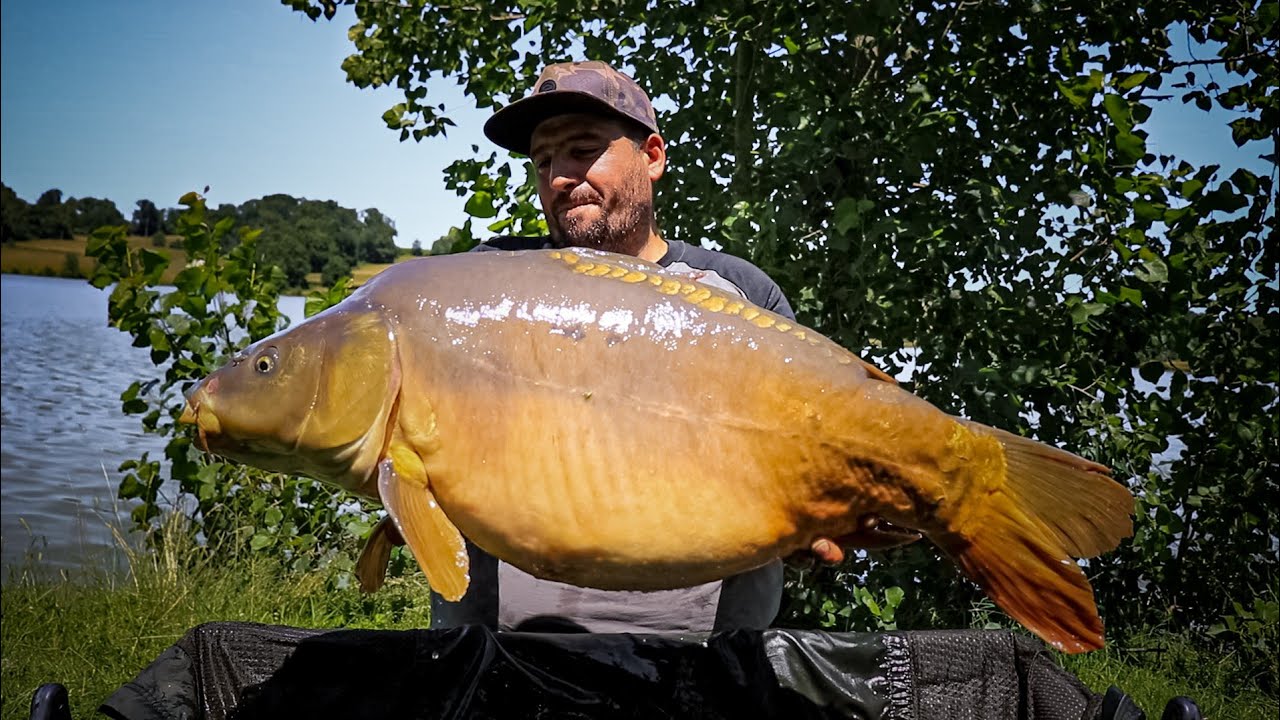 Une folle pêche à la carpe / 52 départs en 48H / Lac l'Uby /Bonkerbaits