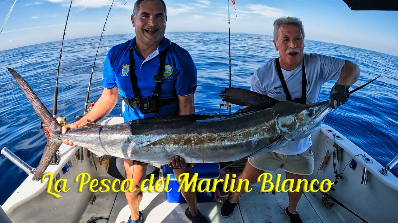 La Pesca del Marlin Blanco (White Marlin Fishing)