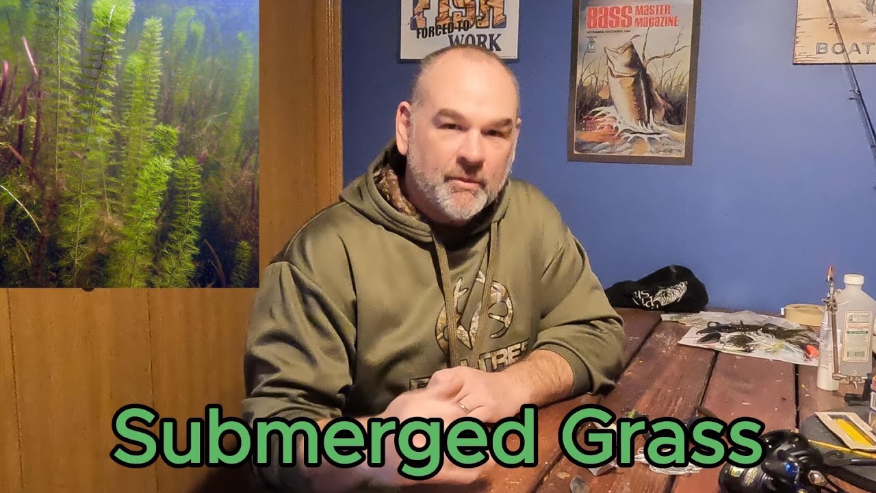 Fishing Submerged Grass for Bass
