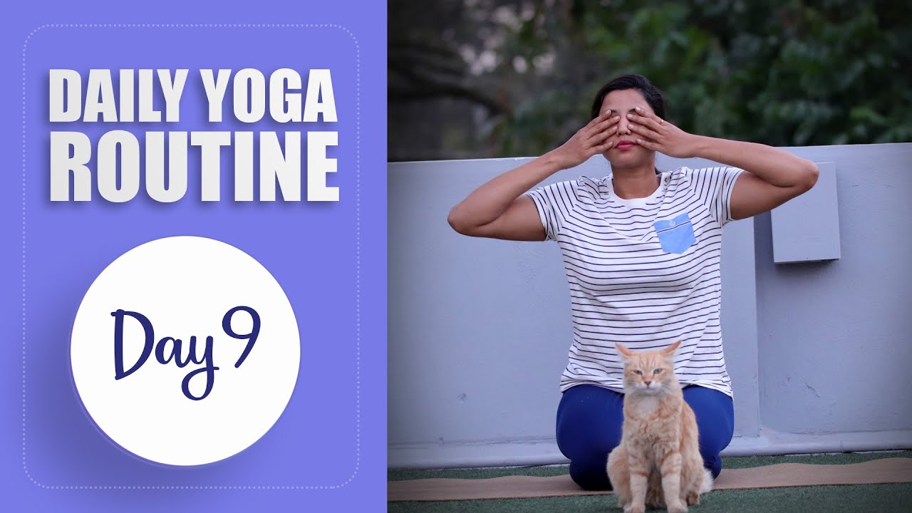 Day 9 - 10 Days of Daily Yoga Routine For Everyone | Yoga For Cure
