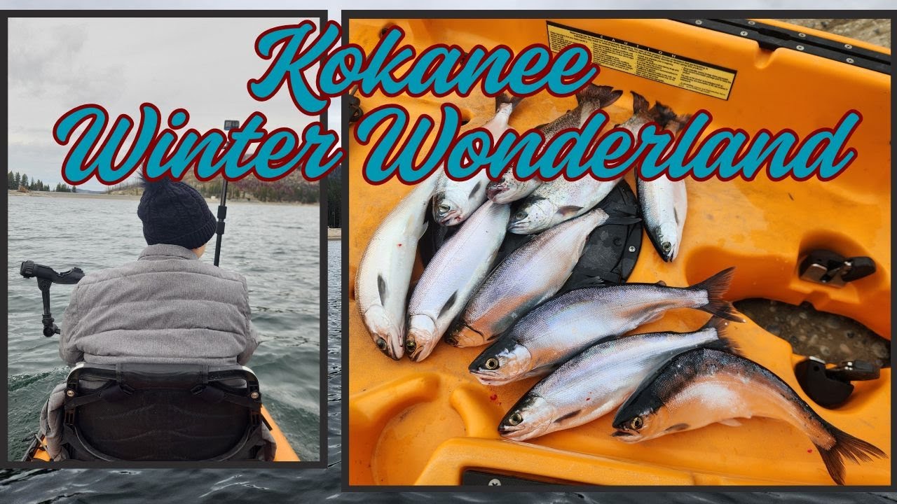 It went off! Kokanee Winter Wonderland! | Shaver Lake