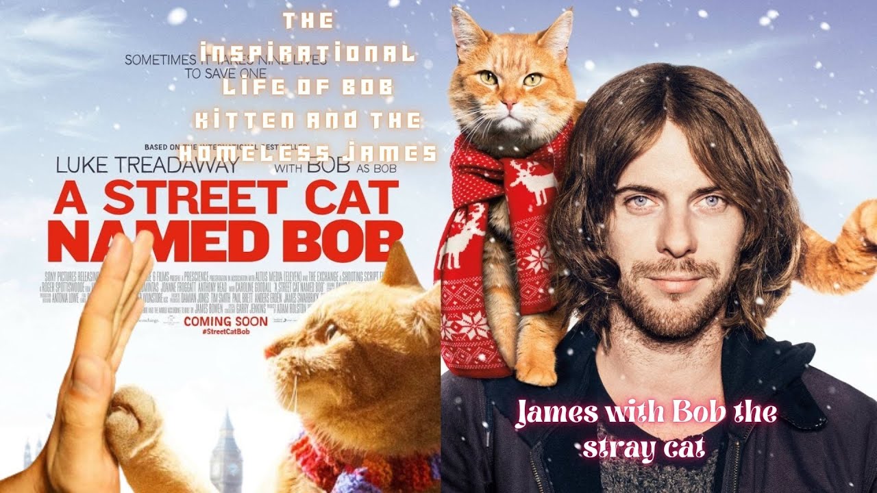 James with Bob the stray cat