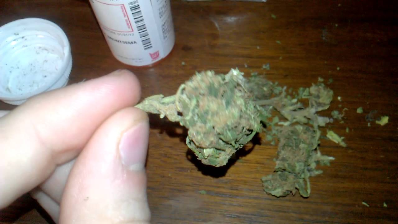 Frosty Nugs