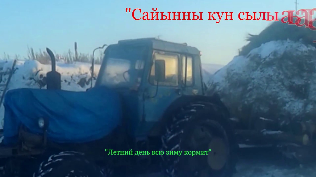 Якутия. Зимняя перевозка сена.