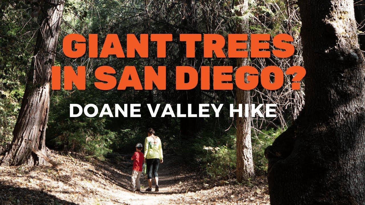 San Diego Hiking - Doane Valley Nature Trail on Palomar Mountain