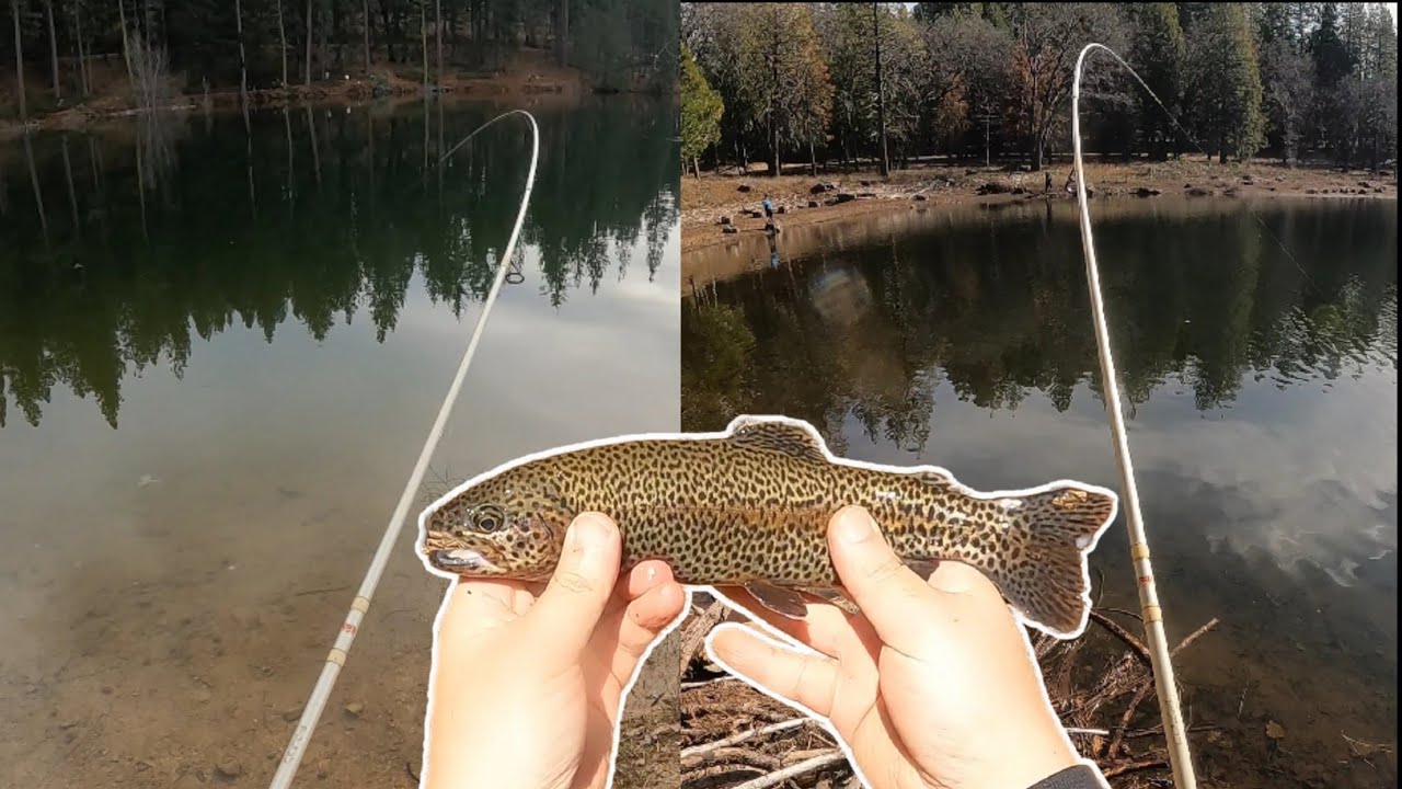 Back To Back Bites At Two Lakes In The Same Day