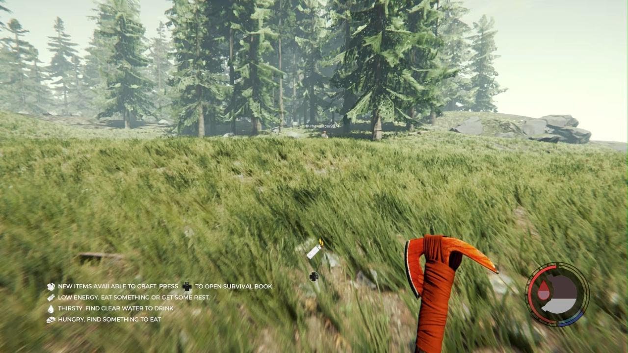 The Forest