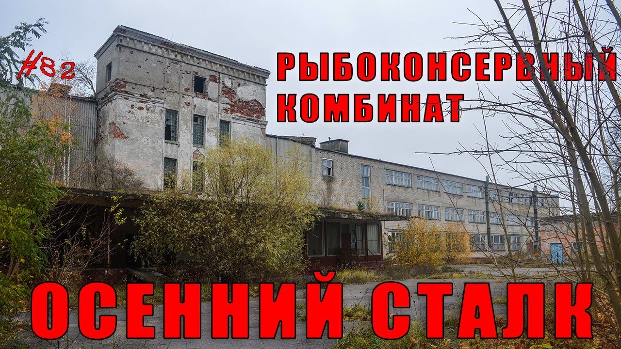 Сталк на Cветловский рыбоконсервный комбинат.  Осенний тлен. #82