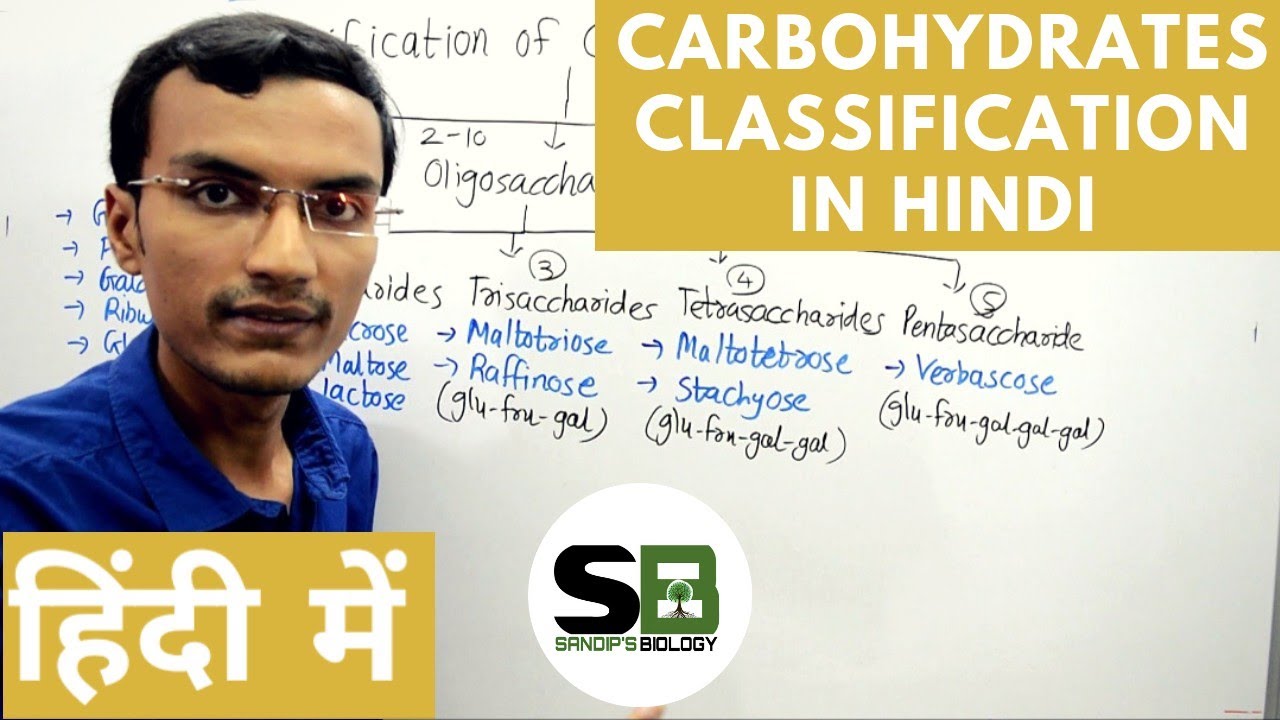 Classification of Carbohydrates in Hindi