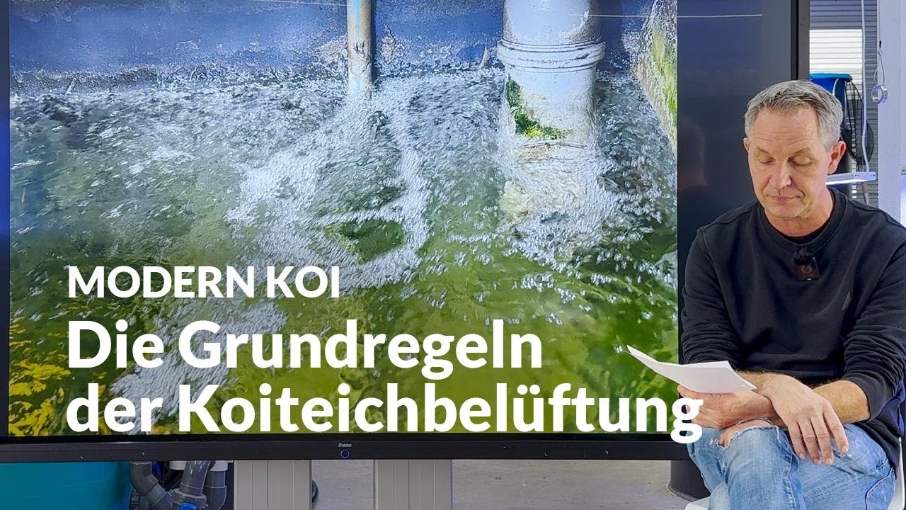 Wie stark darf die Bel&uuml;ftung an der Wasseroberfl&auml;che aufpilzen? | Modern Koi Blog #7172