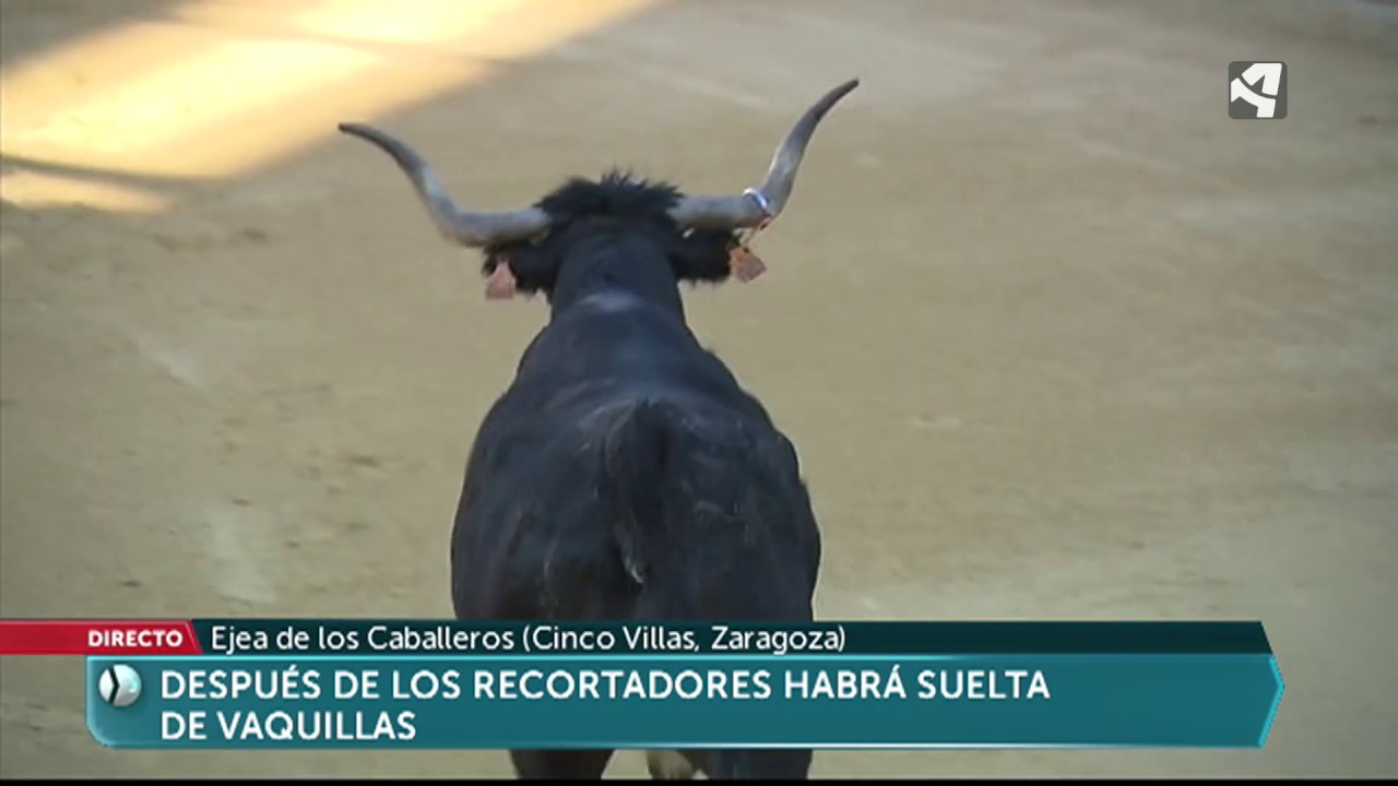 Vacas y recortadores