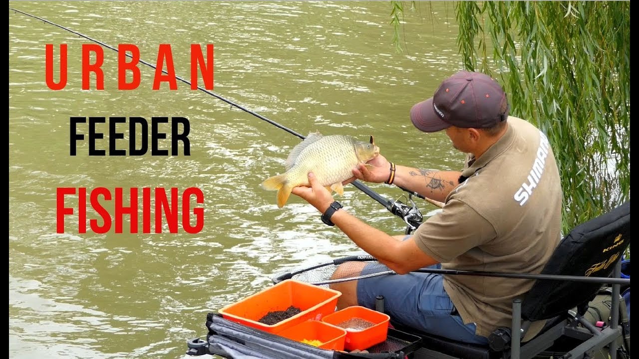 Urban feeder fishing