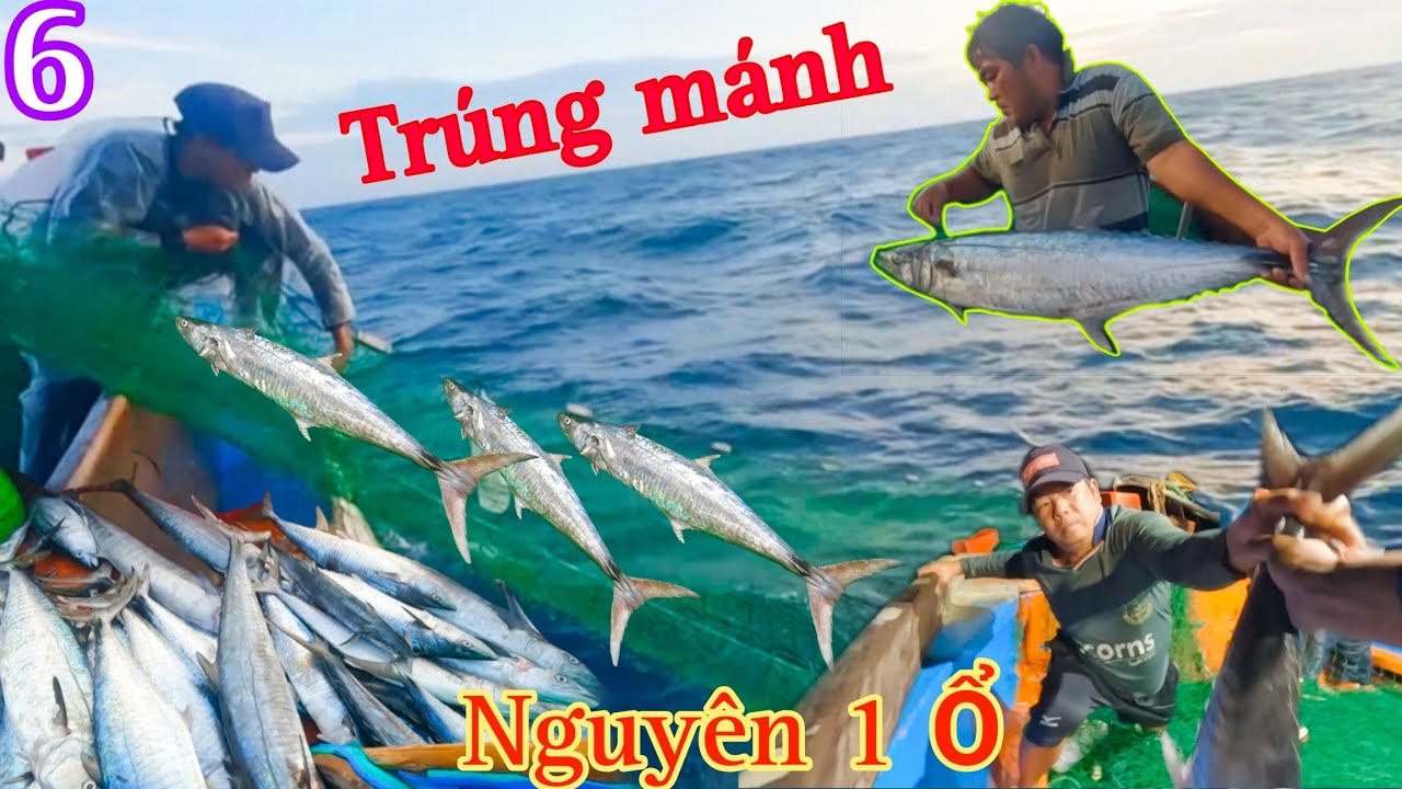 LƯỚI XÙ 6//1 Đêm Hốt Bạc,Bủa 3 Lý Lưới CÁ THU,CÁ NGỪ Kéo Đã Tay_Kéo Lại Được Cả Chuyến