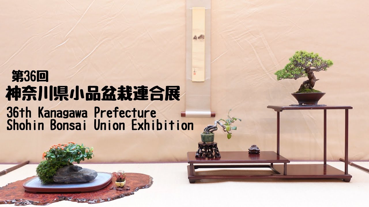 第36回 神奈川県小品盆栽連合展 ／36th Kanagawa Prefecture Shohin Bonsai Union Exhibition