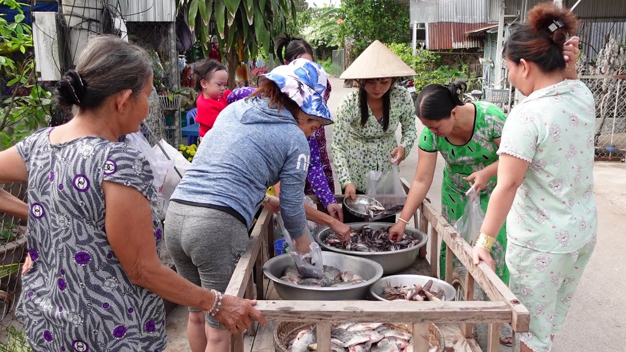 Mấy Cha Con Ra Sông Lặn Dở Chà Cá Thấy Ham Đẩy Xe Đi Bán Cho Bà Con | Hương Quê #676