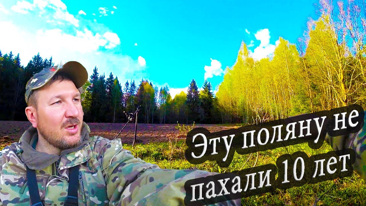 Эту поляну не пахали 10 лет! Коп в лесу. КЛАДОИСКАТЕЛЬ РУСЯ.