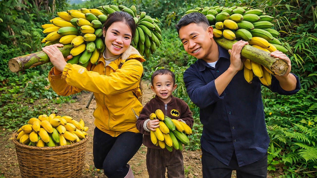 Harvest Wild Banana with My Husband and Son – Bringing Fresh Produce to Market | Trieu Thi Thuy