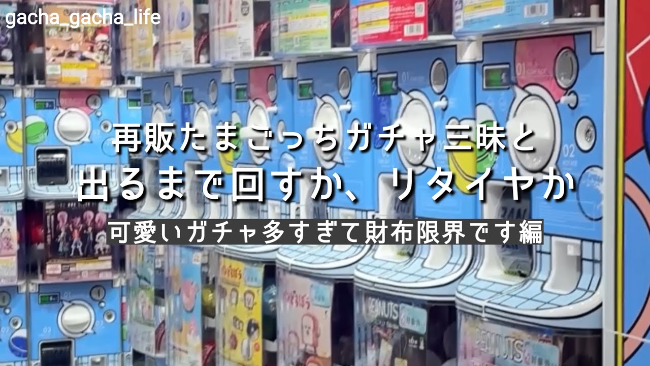 【ガチャ活】急げー！！再販たまごっちガチャ三昧と欲しいのが出ないこともガチャの醍醐味 #ガチャガチャ #ガチャ活 ある意味 #ガチャ神引き 
