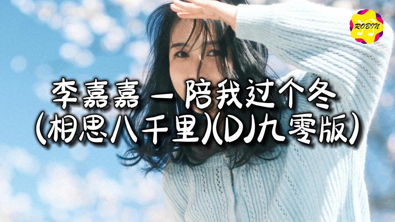 李嘉嘉 - 陪我过个冬 (相思八千里)(DJ九零版)『愿许大雪能知我意，掩我心中意难平。』【动态歌词MV】
