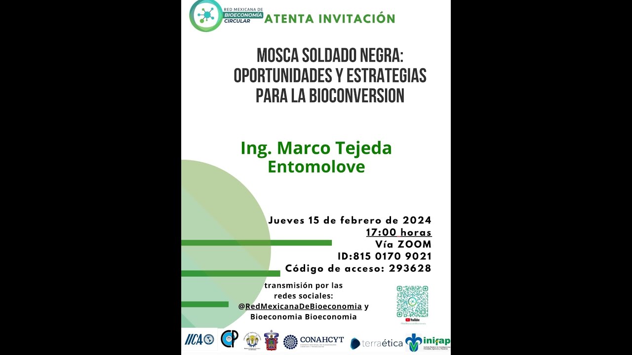 Mosca Soldado Negra: Oportunidades y Estrategias Para la Bioconversión