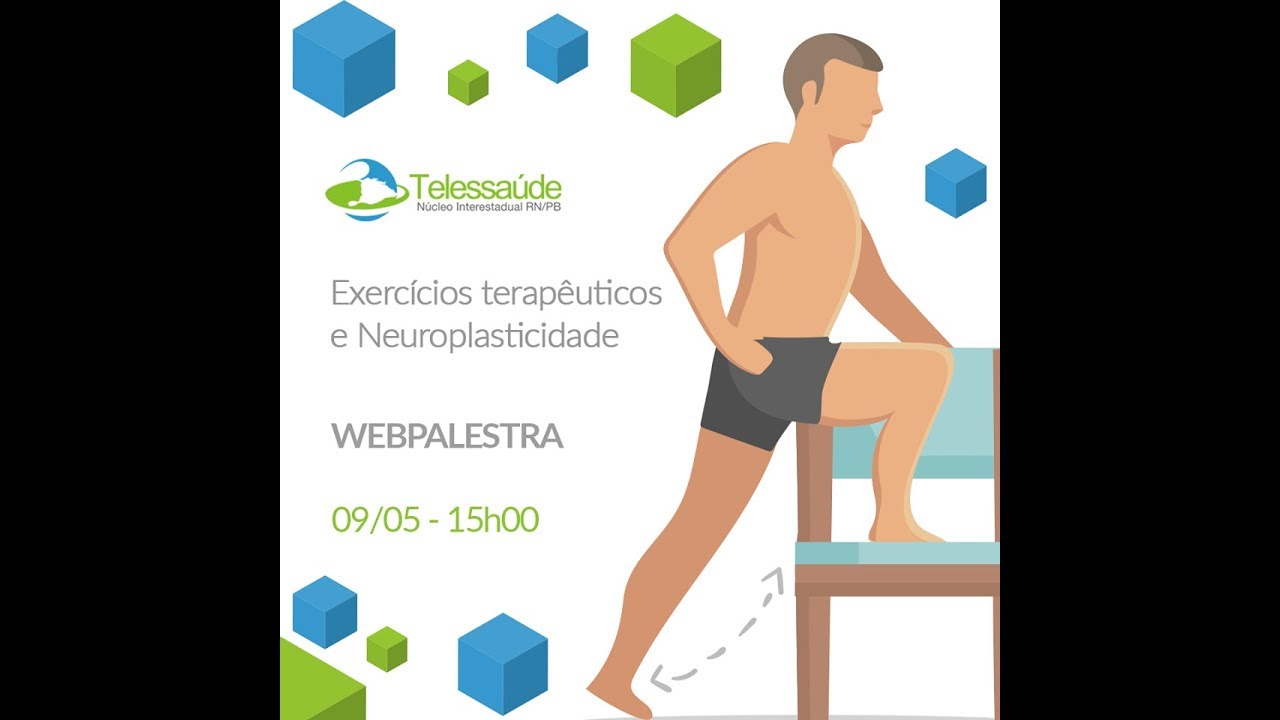Exerc&iacute;cios terap&ecirc;uticos e Neuroplasticidade