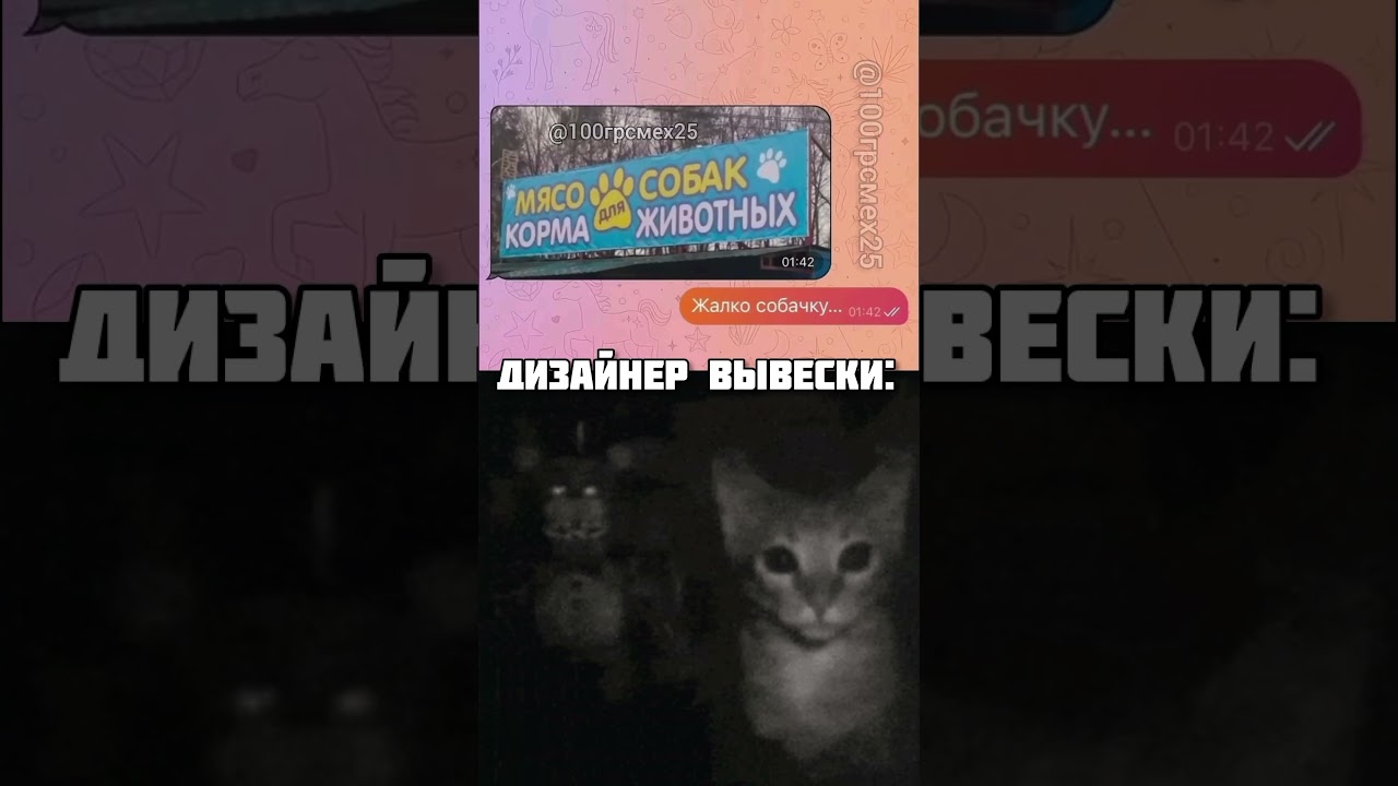 не нажимай на лайк💀#юмор #прикол #жиза #смешно #рек #viral #fyp #shorts #shortvideo #переписки