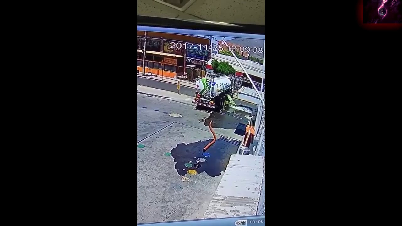 LA LIA PARDA EN GASOLINERA