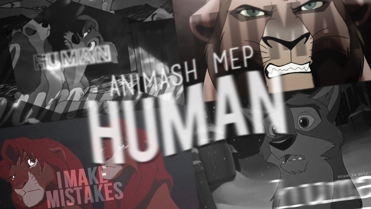 Human - animash MEP