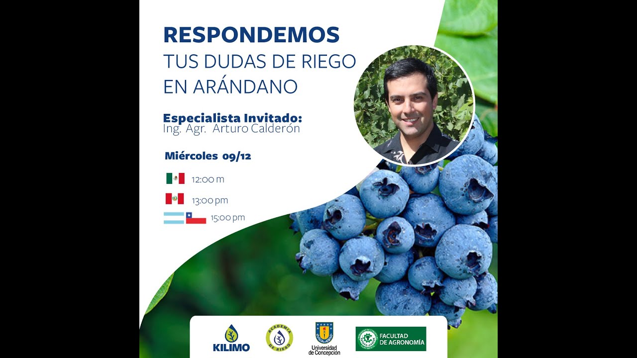 Respondemos tus dudas de riego en arándano