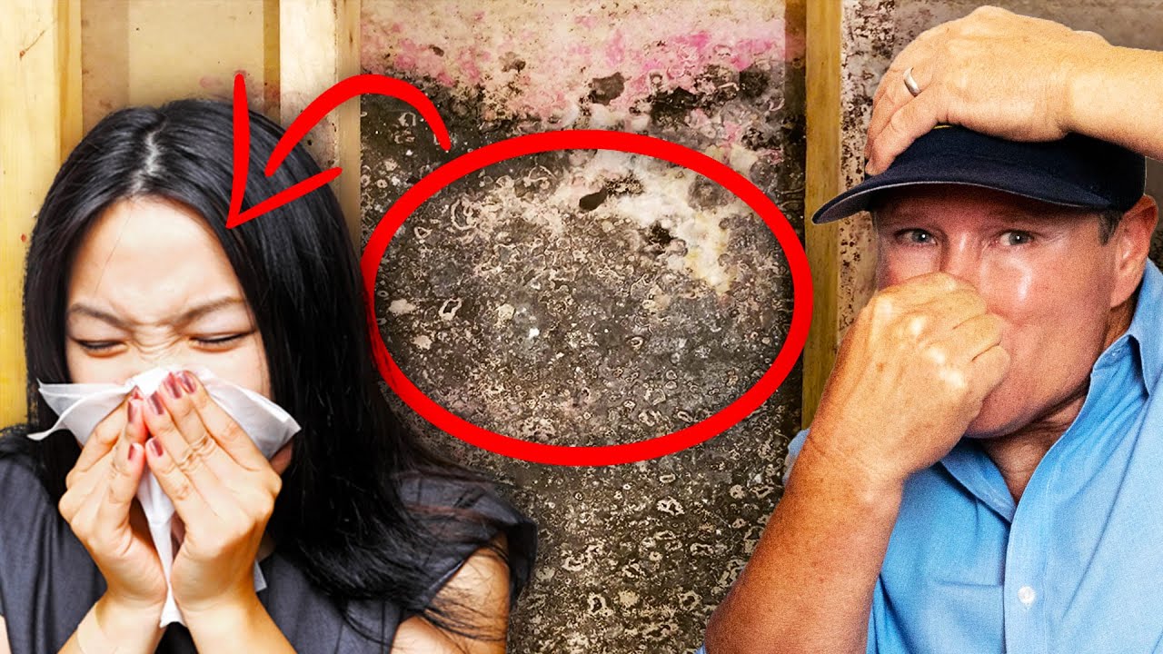 BAD mold growth!! How to REMOVE BLACK MOLD QUICKLY and SAFELY...
