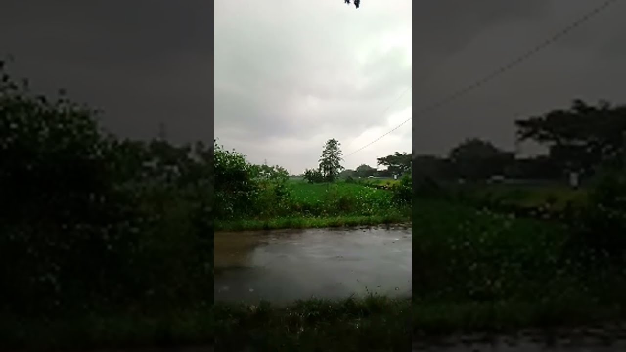 Keindahan alam pertanian dan perkebunan 