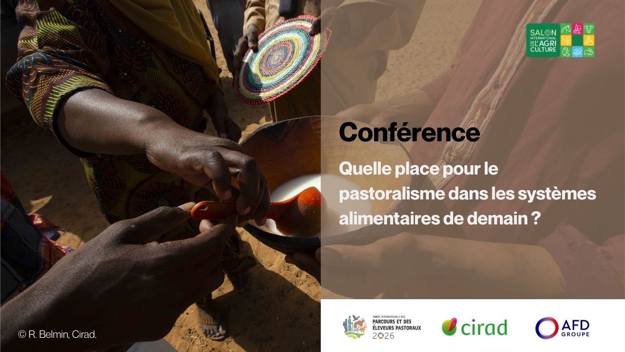 Quelle place pour le pastoralisme dans les systèmes alimentaires de demain ?