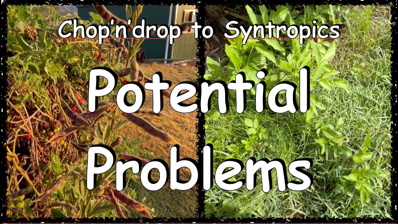 Potential Problems . Chop'n'drop to Syntropics