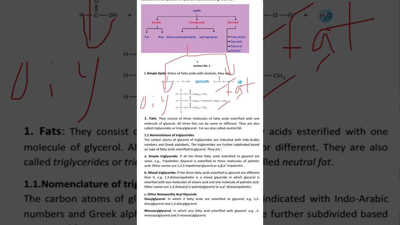 Lipids Introduction  / د. ادريس محسن المشكور