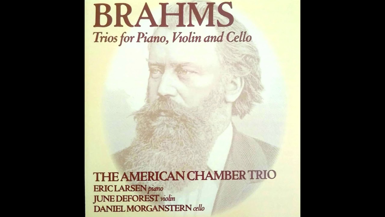 Brahms Piano Trio in C Major, Op. 87: 2. Andante con moto