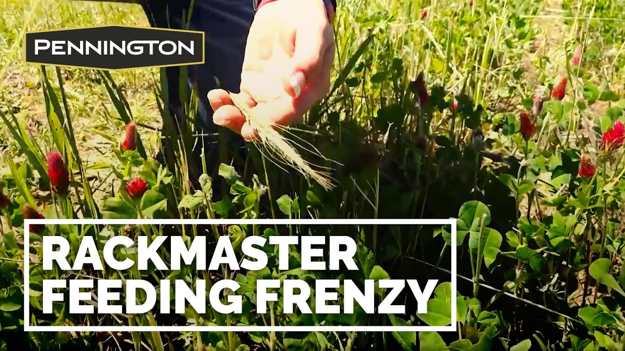 Rackmaster Feeding Frenzy