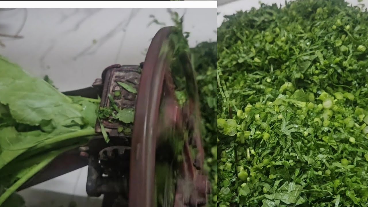 sag cutting machine 😱😱