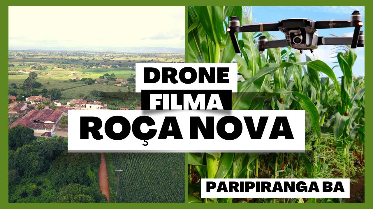 DRONE FILMA ROÇA NOVA EM PARIPIRANGA BA