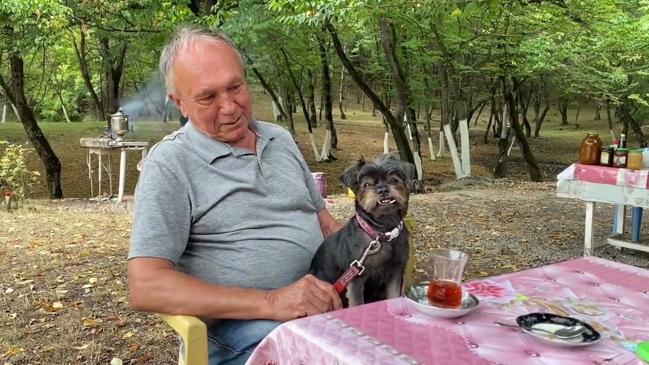 August 27, 2023. Баку. Путешествие с Никитой в горы. Лагич