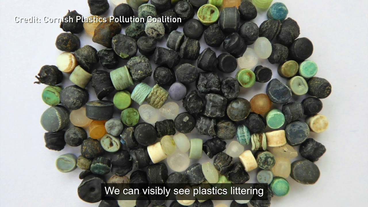 Plastic Pollution
