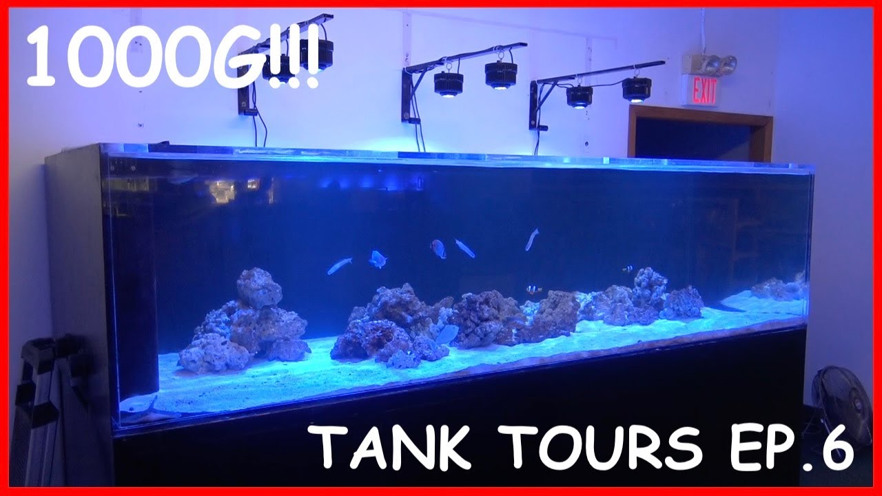TANK TOURS EP 6: 1000g Monster Tank!!!