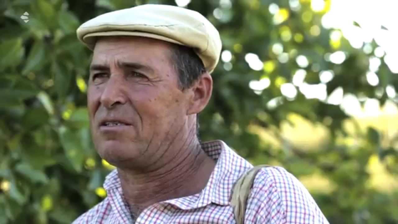 Alfândega da Fé Portugal
