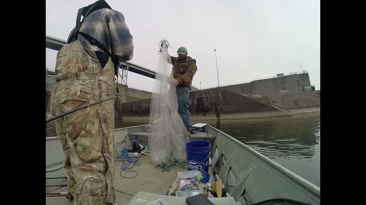 Crazy!!! Catfish bite on artificial and live bait!